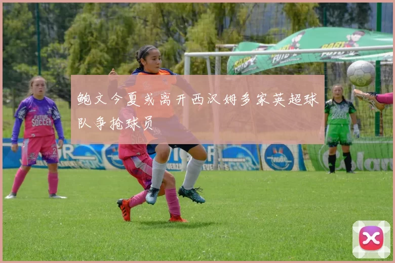 鲍文今夏或离开西汉姆多家英超球队争抢球员
