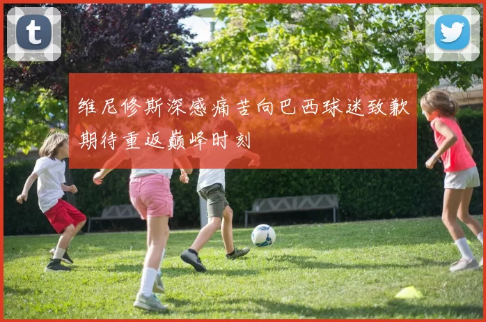 维尼修斯深感痛苦向巴西球迷致歉期待重返巅峰时刻